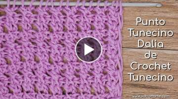 Punto Tunecino Dalia de Crochet Tunecino | Aprende Crochet Tunecino Paso a Paso